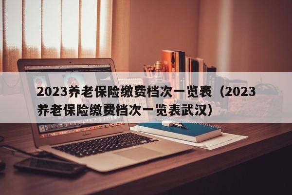 2023养老保险缴费档次一览表（2023养老保险缴费档次一览表武汉）