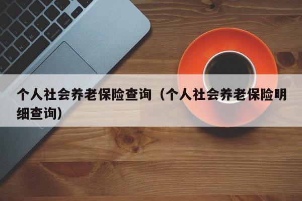 个人社会养老保险查询（个人社会养老保险明细查询）