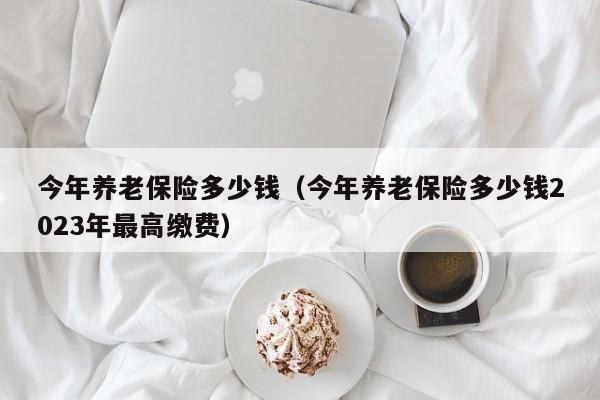 今年养老保险多少钱（今年养老保险多少钱2023年最高缴费）