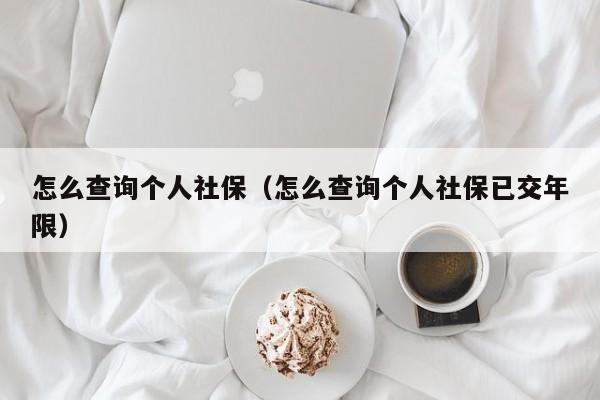 怎么查询个人社保（怎么查询个人社保已交年限）