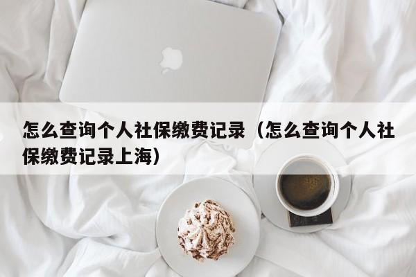 怎么查询个人社保缴费记录（怎么查询个人社保缴费记录上海）