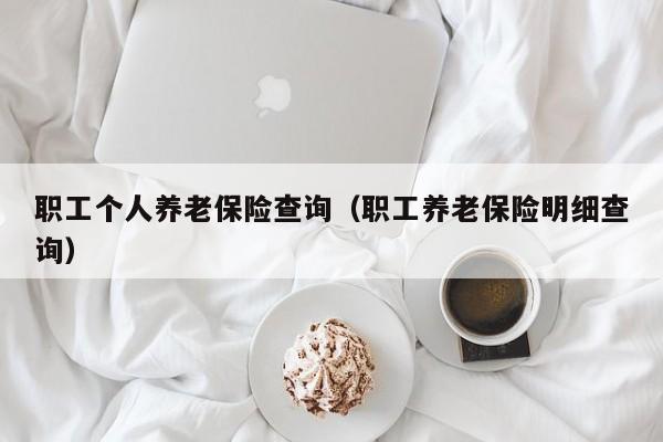 职工个人养老保险查询（职工养老保险明细查询）