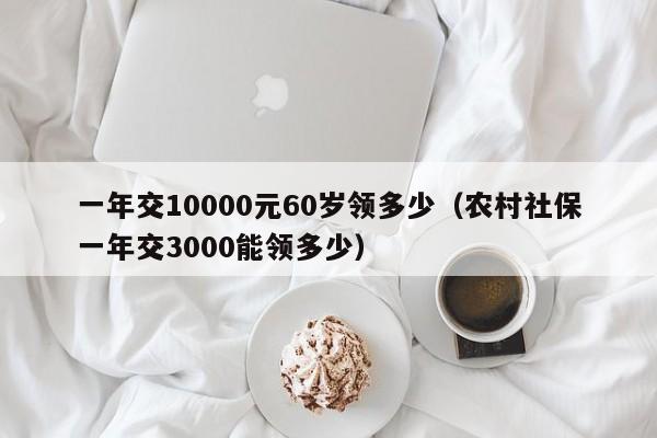 一年交10000元60岁领多少（农村社保一年交3000能领多少）