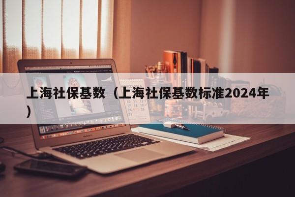 上海社保基数（上海社保基数标准2024年）