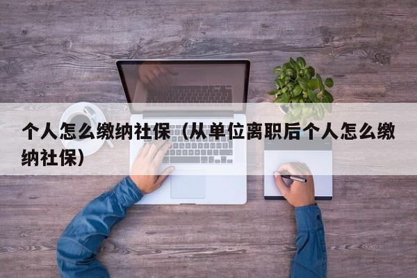 个人怎么缴纳社保（从单位离职后个人怎么缴纳社保）