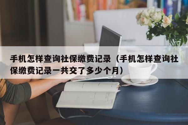 手机怎样查询社保缴费记录（手机怎样查询社保缴费记录一共交了多少个月）