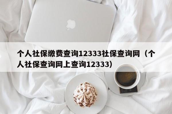 个人社保缴费查询12333社保查询网（个人社保查询网上查询12333）